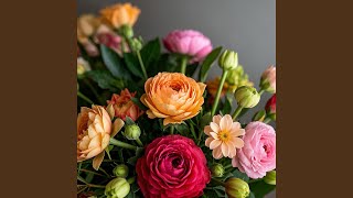 Download Lagu bukit MP3