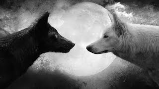 Do you want to know what it means to dream about wolves?