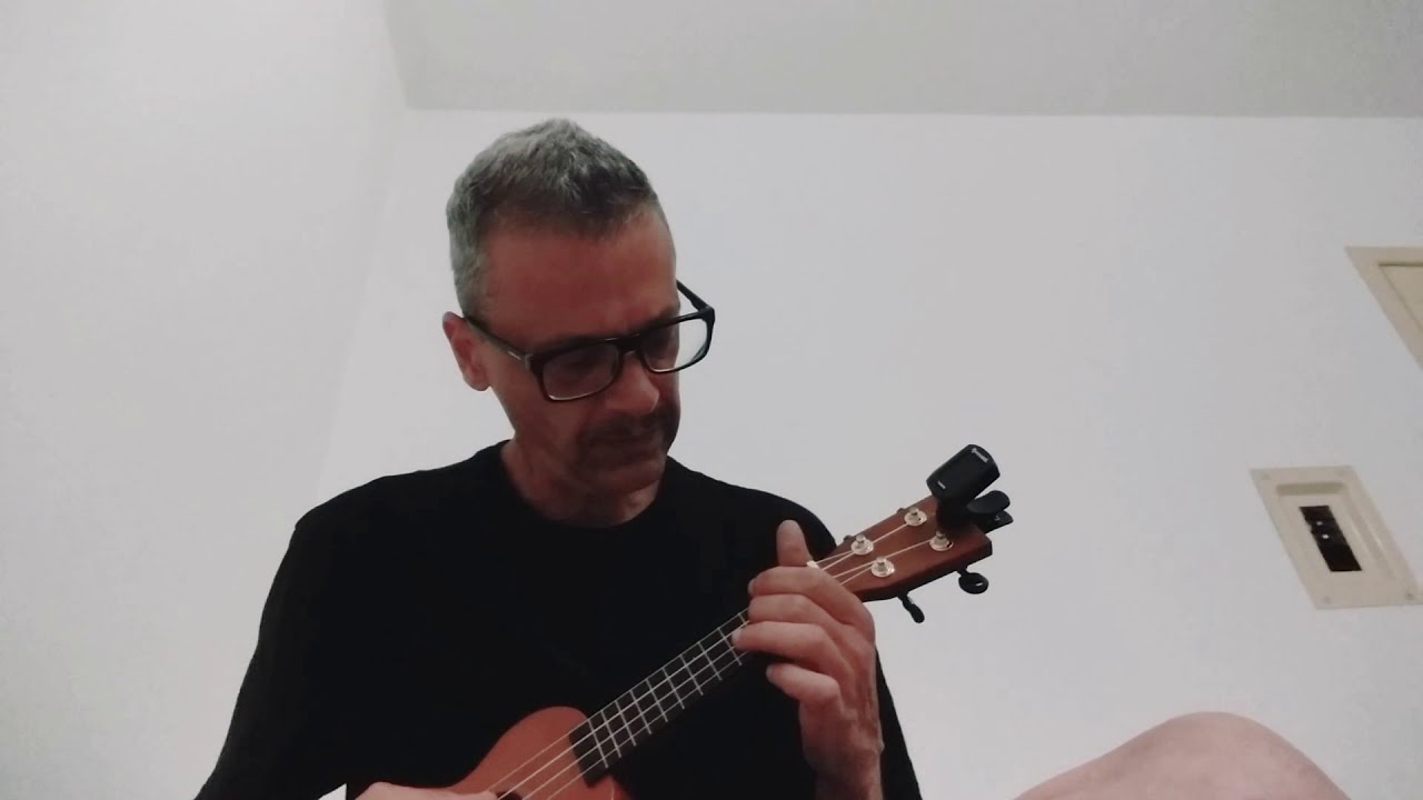 Never tears apart - INXS ukulele cover