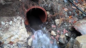 Stormwater: A Major Source of Water Pollution in the Great Bay Estuary