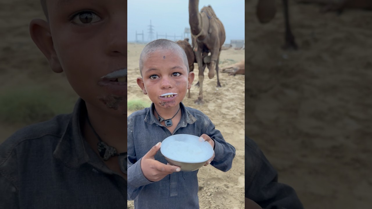 desert life in india 