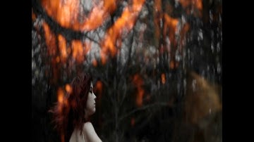 Ashes To Fall - Damaged [Official]