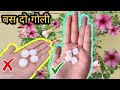 पौधों में कपूर के फायदे जानकर, आप भी हैरान रह जाओगे | CAMPHOR shocking results in plants| #camphor