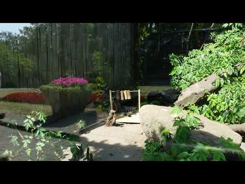 Zoologisk have Aalborg 2