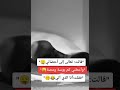 قالت تعالى إلى أحضاني وأعطيك كم بوسة 