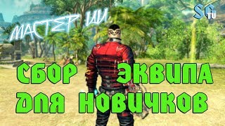 Мастер Ци Сбор Эквипа Для Новичков Blade and Soul