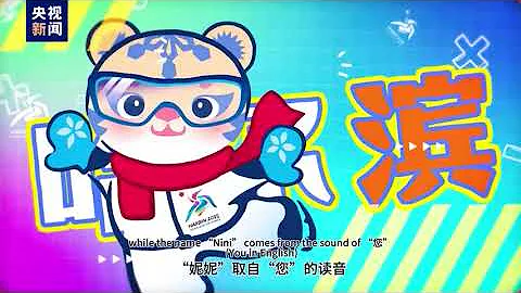 Mascots of the 9th Asian Winter Games Harbin 2025 named「Binbin」 and 「Nini」.2025年第九屆亞洲冬運會吉祥物「濱濱」和「妮妮」 - 天天要聞