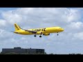 Absolutely Love Spirit Airlines Bright Yellow Livery Miami International Airport