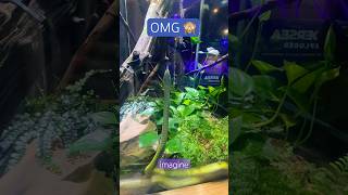 This time: S for #snake #nature #akron #zoo #ilan #yılan #korkut