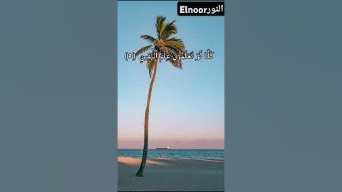 سورة التكاثر.... القارئ الشيخ عبدالباسط عبدالصمد #قران_كريم #قرآن #قرآن_كريم #عبدالباسط_عبدالصمد