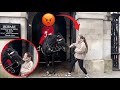 Unbelievable stupid tourist slaps the kings horse see what happens