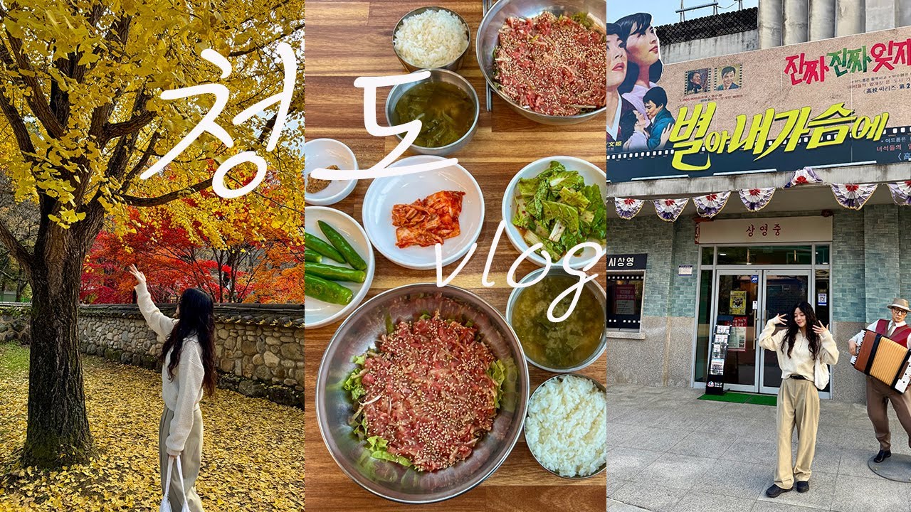 [VLOG] 청도 여행 브이로그ㅣ청도 맛집 카페 ㅣ청도 가볼만한곳 운문사 유천마을ㅣ부산 근교 드라이브ㅣcheongdo vlogㅣ ...