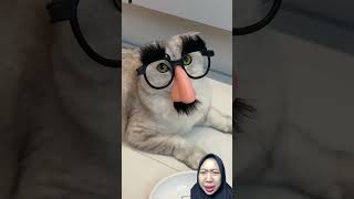 The story of a cat cheating its owner #shorts #shortsvideo #storytelling #story #inspirationalsto...