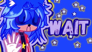 WAIT GL2 Sonic hedgehog