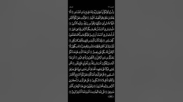 #سورة_الملك بصوت القارئ #سعد_الغامدي