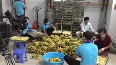 QUY TRÌNH SẢN XUẤT RƯỢU CHUỐI CAO CẤP