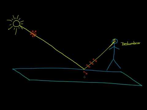 Video: ¿Cómo detectar la luz polarizada circularmente?