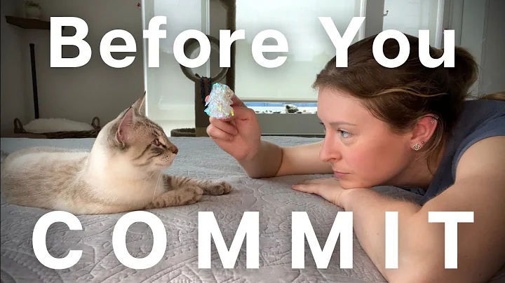 10 things you NEED to know before adopting a Cat/Kitten