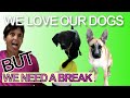 Camping with big dogs and finding free time in the Camper Life | Living the debt free RV life