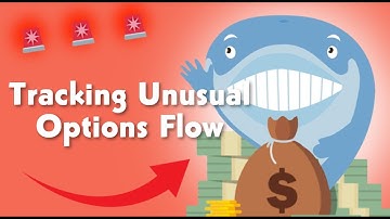Using Unusual Whales to Track Unusual Options Flow (OUTDATED)