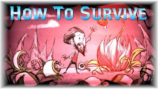Dont Starve: How To Survive 20  days