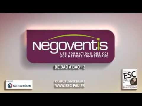 Groupe ESC Pau - présentation du réseau NEGOVENTIS