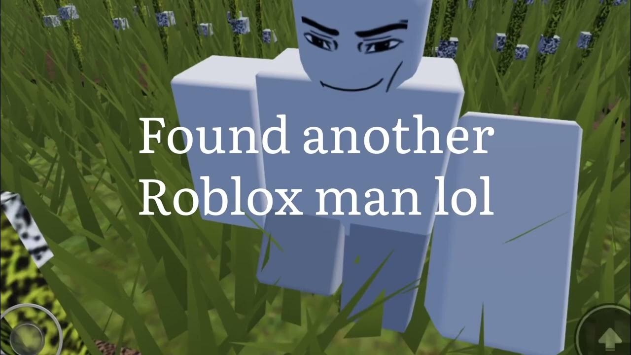 The Roblox Cotton Fields.. YouTube