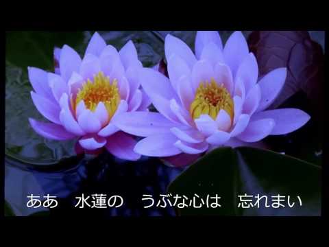 男の絶唱/氷川きよしcover芳地明徳