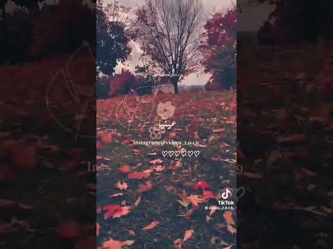 أنا ملك قلبك وروحى فداك