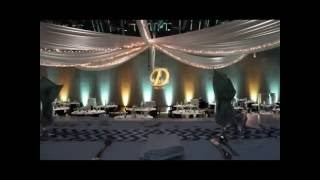 Black Bear in mint green and yellow wedding lighting by Duluth Event Lighting