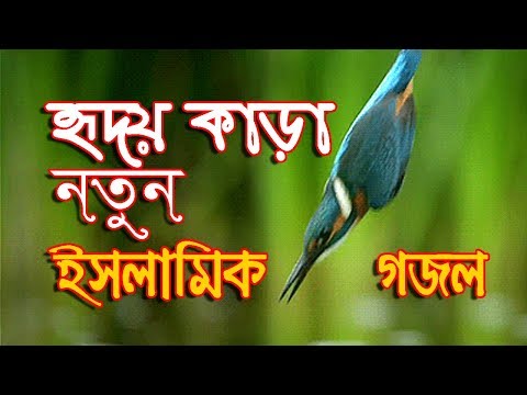 new-bangla-islamic-gaan-2018-|-heart-touching-islamic-song-|-muslim-media