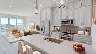 (A2) One Bedroom, One Bathroom Apartment in Tampa, FL - The Emerson On Rocky Point