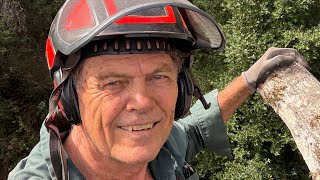CHAINSAW ADVICE