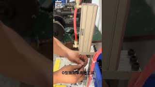 Automated O Ring Seal Assembly Machine and Precision Sealing Ring Mold Equipment