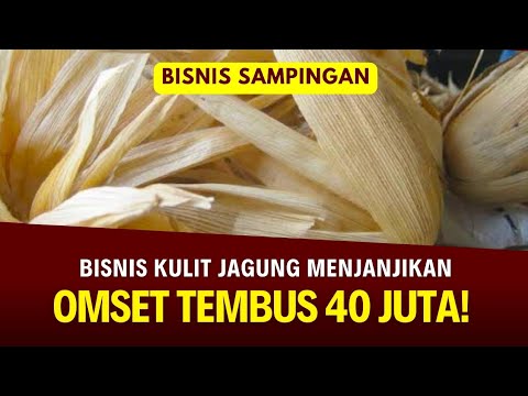 Limbah Kulit Jagung Bisa Dibuat Apa Saja