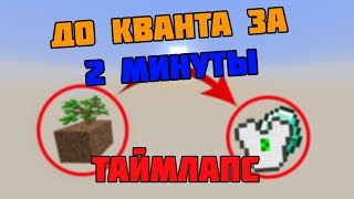 Как развиться до КВАНТА ЗА 2 МИНУТЫ? (Timelapse)