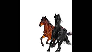 Lil Nas X ft. Billy Ray Cyrus - Old Town Road (Remix) (Official Instrumental)