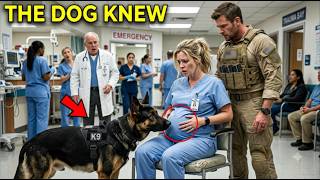 A Navy SEAL Asked to Sit Beside a Pregnant Nurse—Then His K9 Froze the Entire ER