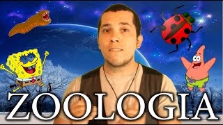 Aula 15: Reino Animal - Aula de Biologia, ENEM e Vestibular