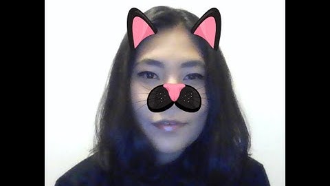 Creating Snapchat like filters from scratch using Computer Vision Techniques