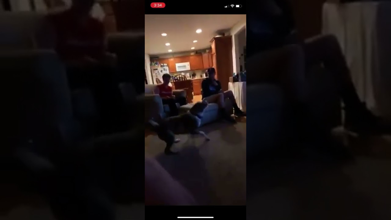 Check this out #32...A dog doing a backflip