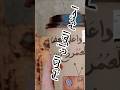 احترم القرآن الكريم