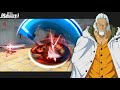 RAYLEIGH PVP GAMEPLAY - FREE ANNIVERSARY SELECTOR | One Piece Fighting Path