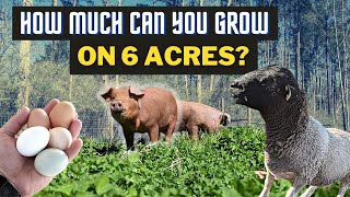 How To Plan A 6-Acre Homestead For Maximum Production