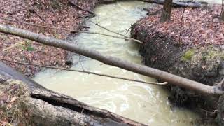 Stream Overflow and Bank Erosion #stream #erosion #erosioncontrol
