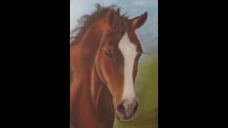 Horse Drawing with Soft Pastels #horsedrawing #horsefan #horseart #softpastelart #drawingtutorial screenshot 5