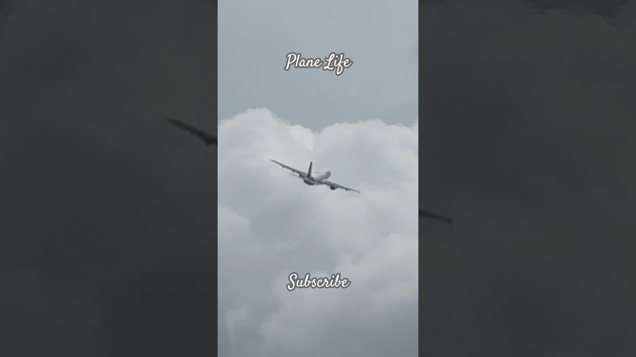 Plane Life - An Amazing sight into the Fluffy White Clouds ☁️