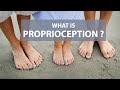 What is Proprioception?