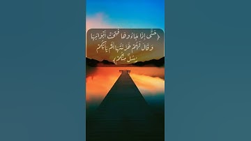 تلاوةخاشعةمن سورة الزمر الآية٧١بصوت#سعد_الغامدي #حالات_واتس#كفروا #جهنم #زمراً#أيات#ينذرونكم #العذاب