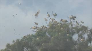 2017 06 23 攝于 淡水 下圭柔山